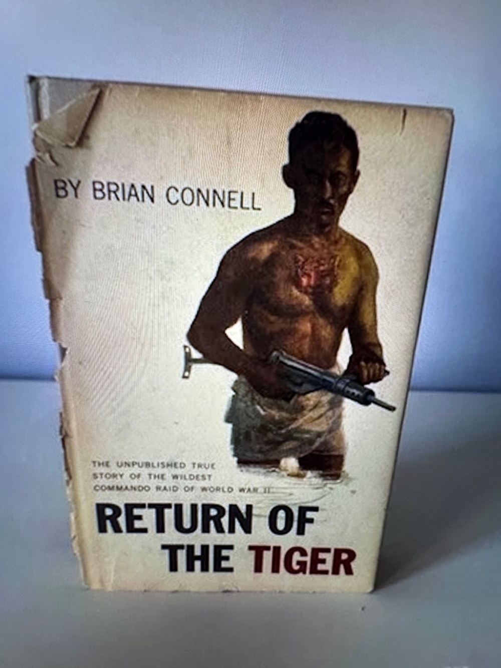 Return Of The Tiger - Picture 8 of 8